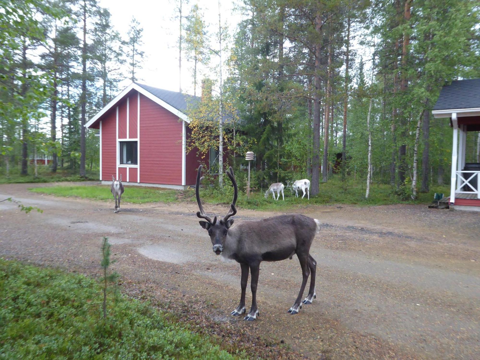 Maentymajat Villa Äkäslompolo Rum bild